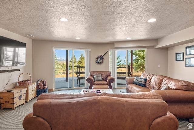 17 Wedge Way, Garden City, UT 84028 - living area featuring carpet flooring, a textured ceiling, recessed lighting, and plenty of natural light