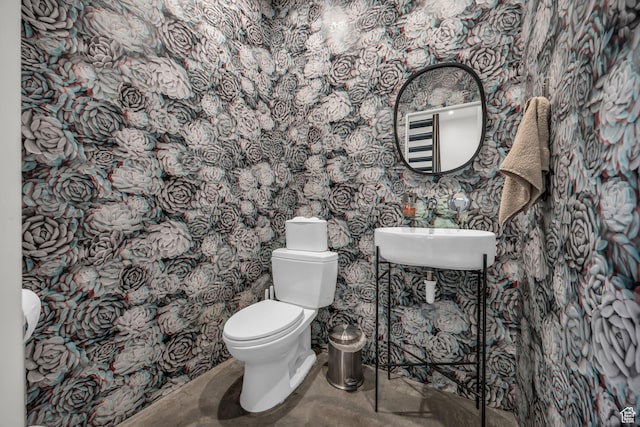 bathroom with toilet and a sink