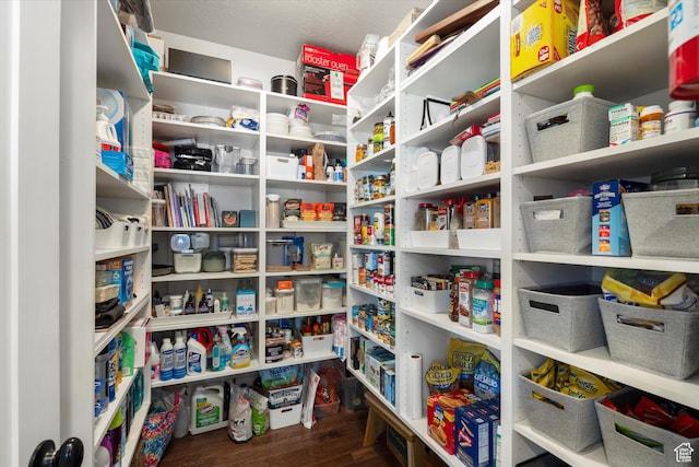 view of pantry