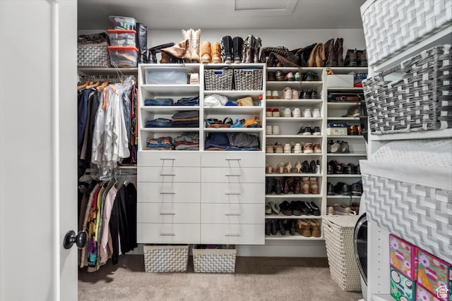 spacious closet with attic access and carpet floors