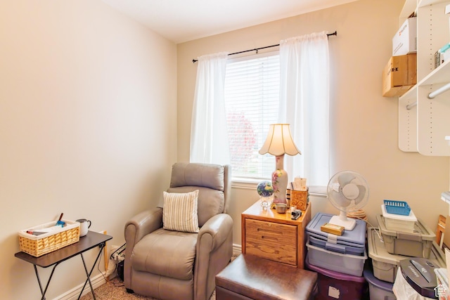502 S 1040 E Unit 133, American Fork, UT 84003 - living area featuring baseboards