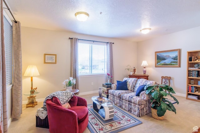 502 S 1040 E Unit 133, American Fork, UT 84003 - living area featuring baseboards, light colored carpet, and a textured ceiling