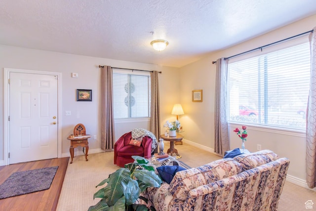 502 S 1040 E Unit 133, American Fork, UT 84003 - living area featuring a textured ceiling, a healthy amount of sunlight, and baseboards