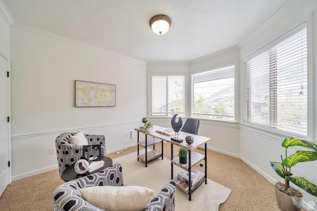 home office with a wealth of natural light, crown molding, and carpet flooring