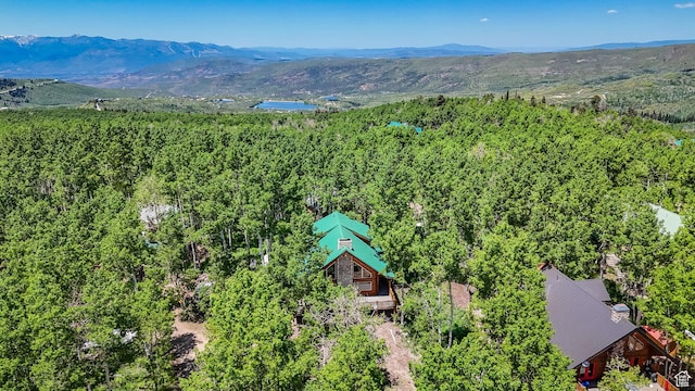 11551 E Marigold Ln Unit 1659, Heber City, UT 84032 - view from above of property with a mountainous background and a forest