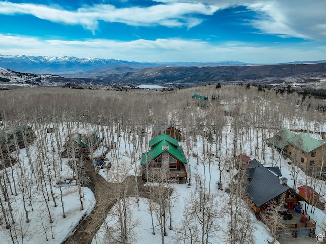 11551 E Marigold Ln Unit 1659, Heber City, UT 84032 - snowy aerial view with a mountain view
