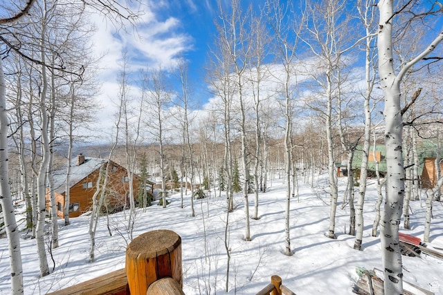 11551 E Marigold Ln Unit 1659, Heber City, UT 84032 - view of snowy yard