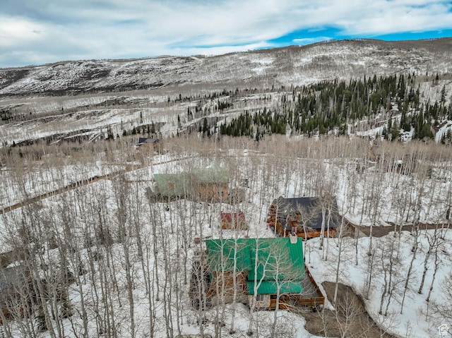11551 E Marigold Ln Unit 1659, Heber City, UT 84032 - snowy aerial view with a mountain view