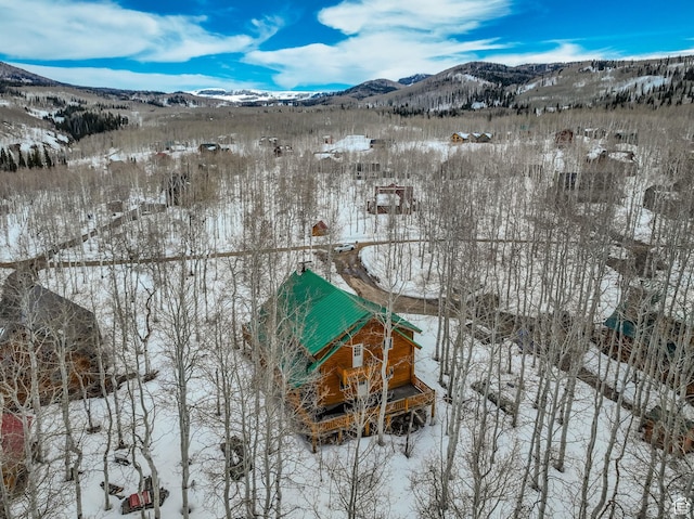 11551 E Marigold Ln Unit 1659, Heber City, UT 84032 - snowy aerial view featuring a mountain view