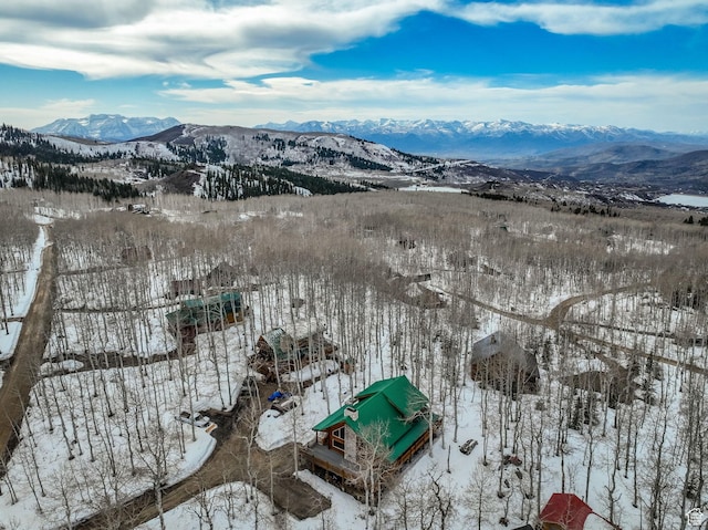 11551 E Marigold Ln Unit 1659, Heber City, UT 84032 - snowy aerial view featuring a mountain view