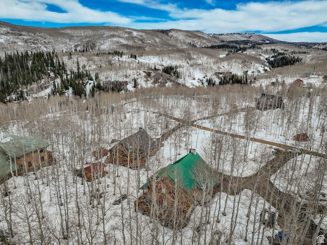 11551 E Marigold Ln Unit 1659, Heber City, UT 84032 - snowy aerial view with a mountain view