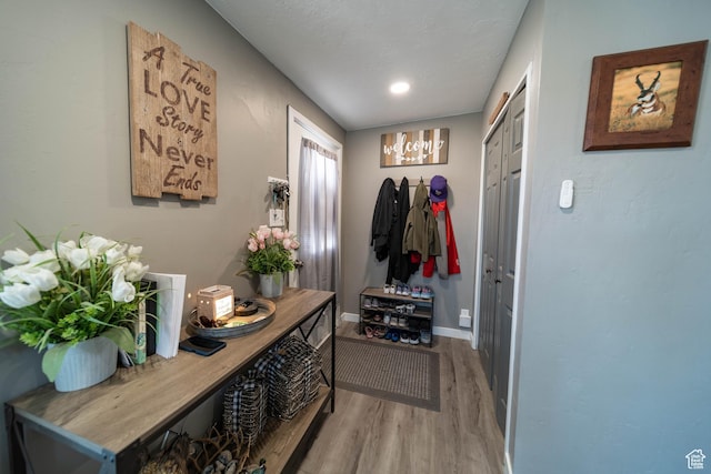 mudroom featuring wood finished floors and baseboards