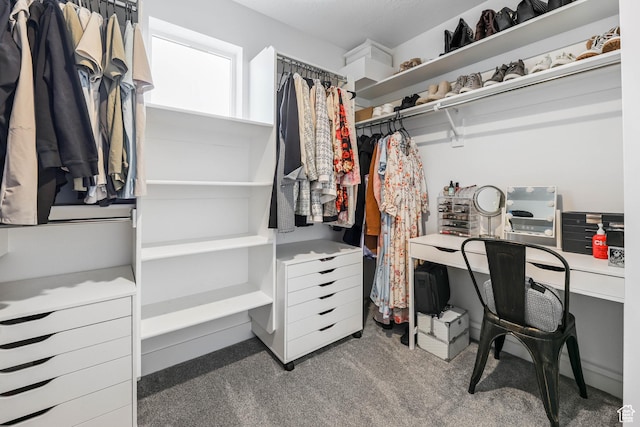walk in closet with carpet flooring