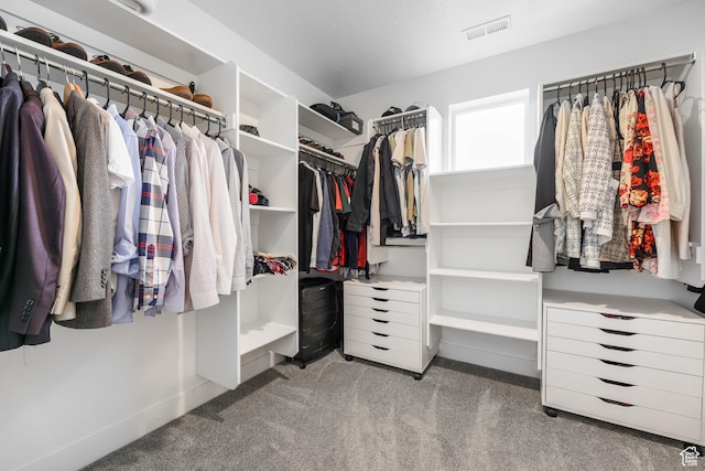 spacious closet featuring carpet and visible vents