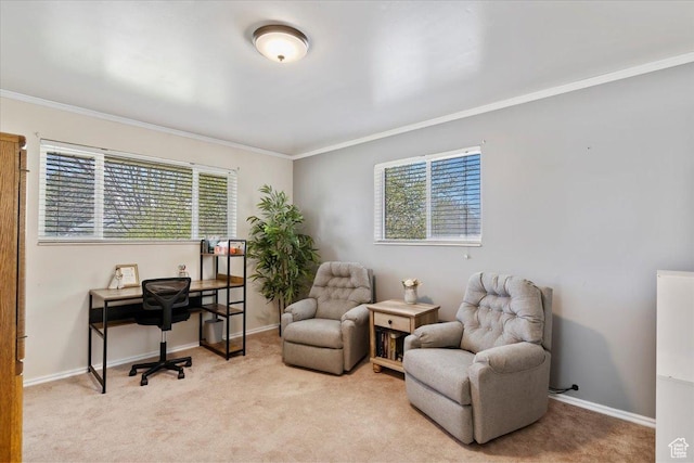 39 S 200 W, Morgan, UT 84050 - office space featuring light carpet, baseboards, ornamental molding, and a healthy amount of sunlight