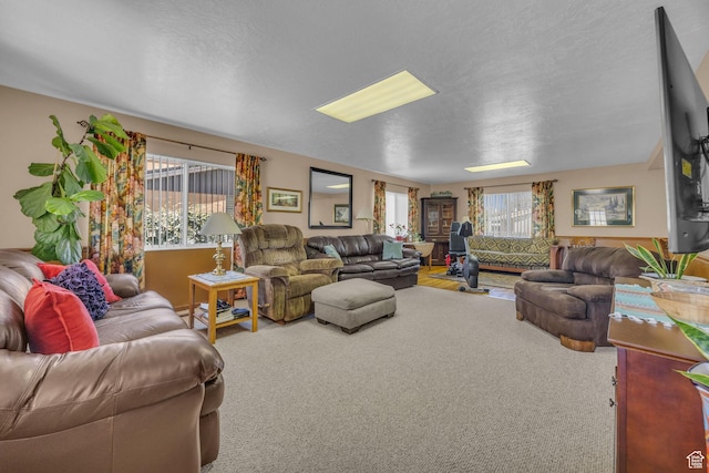 4926 S 3655 W, Taylorsville, UT 84129 - living room featuring a textured ceiling and carpet