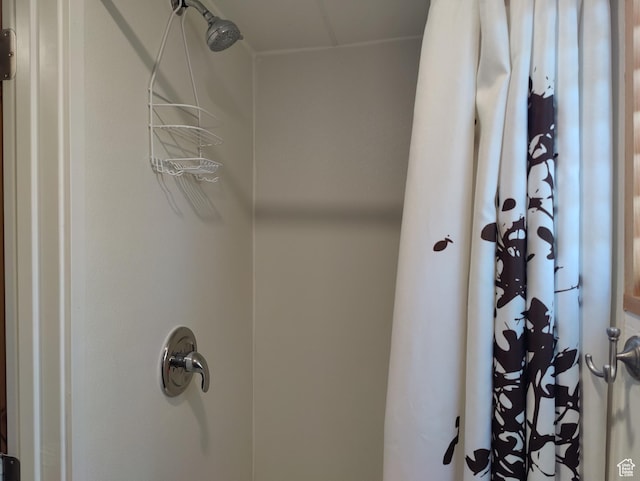 1559 S Bear Lake Blvd S, Garden City, UT 84028 - interior space with curtained shower