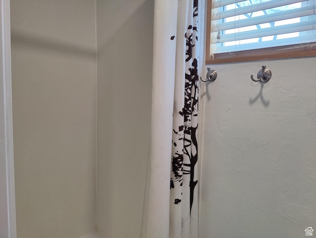 1559 S Bear Lake Blvd S, Garden City, UT 84028 - interior details with curtained shower