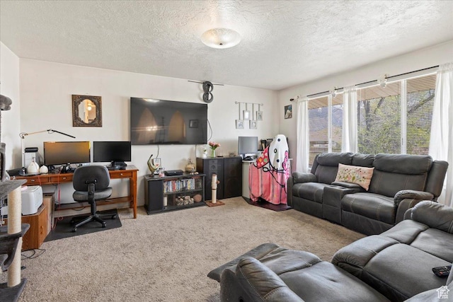 250 N 350 E, Orem, UT 84057 - carpeted living area featuring a textured ceiling