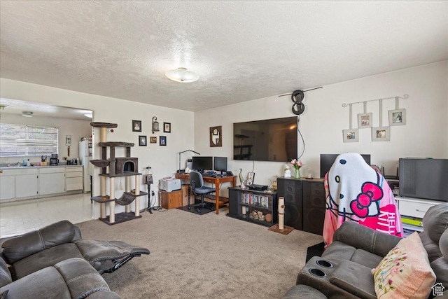 250 N 350 E, Orem, UT 84057 - living area featuring carpet and a textured ceiling