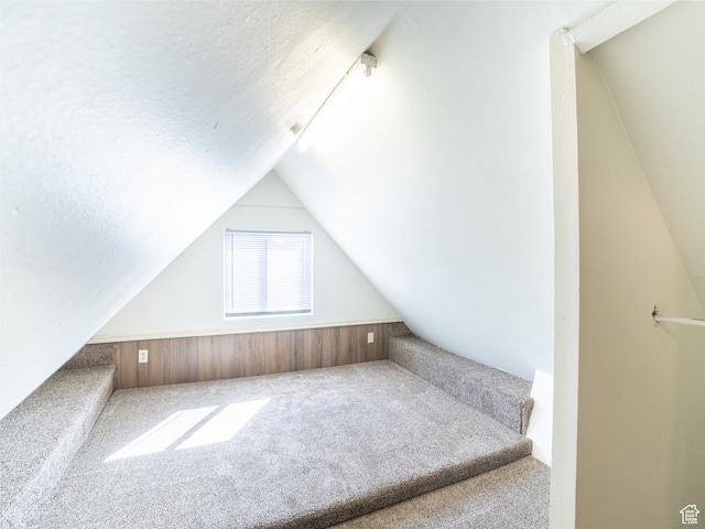290 W 400 S, Heber City, UT 84032 - additional living space featuring a textured ceiling, lofted ceiling, and carpet