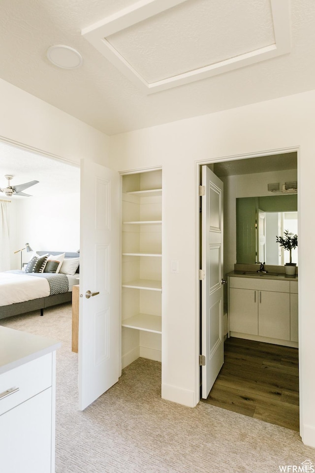 107 W Harvest Village Ln, Saratoga Springs, UT 84045 - interior space featuring a tray ceiling, a closet, a spacious closet, carpet floors, and a sink
