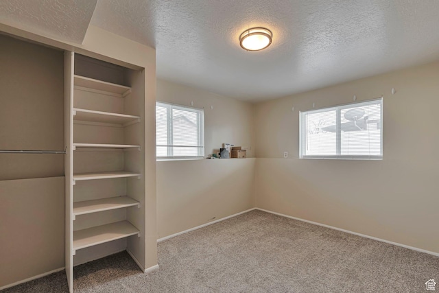 carpeted spare room featuring a wealth of natural light, a textured ceiling, and baseboards