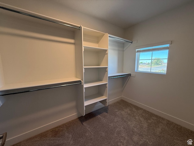 spacious closet with dark colored carpet