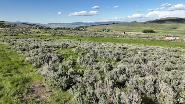 10630 N 600 E, Malad City, ID 83252