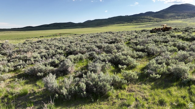 10630 N 600 E, Malad City, ID 83252