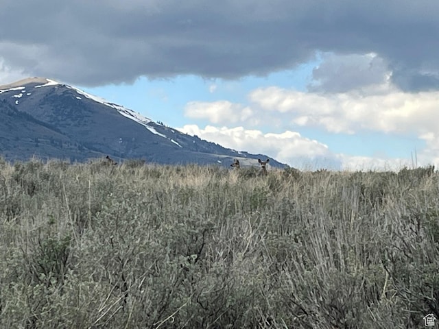 10630 N 600 E, Malad City, ID 83252