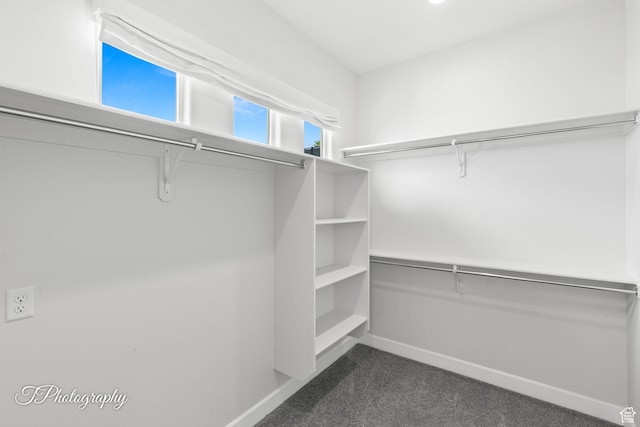 walk in closet with dark colored carpet