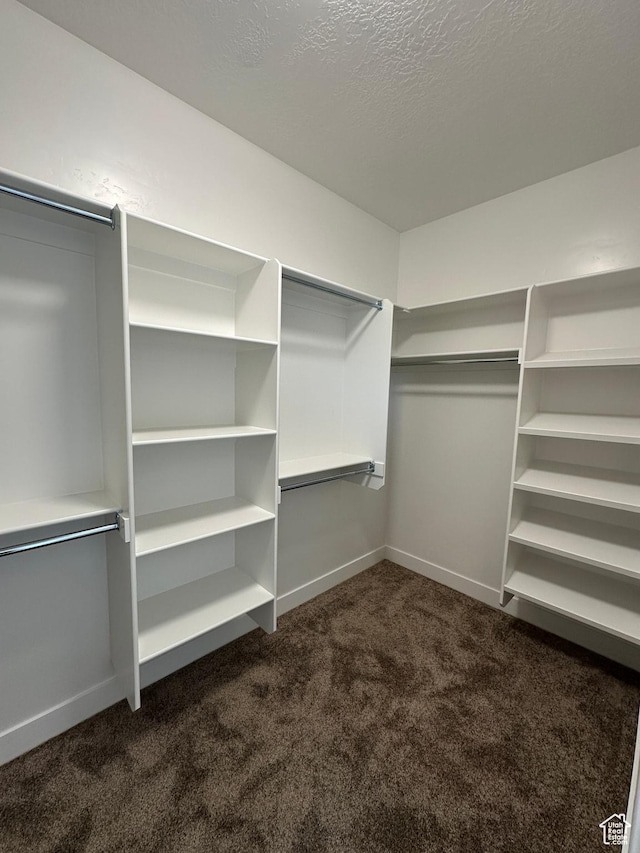 walk in closet featuring dark colored carpet