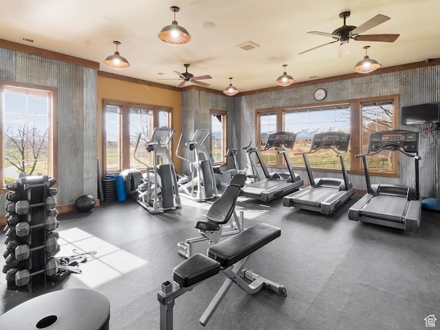 workout area featuring visible vents, ceiling fan, and a wealth of natural light