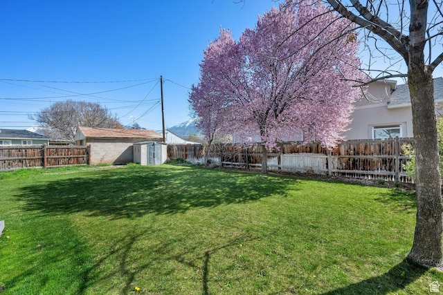 view of yard with a fenced backyard, an outdoor structure, and a storage unit
