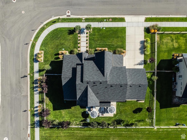 bird's eye view