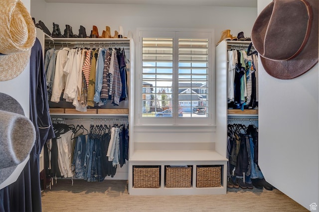 view of walk in closet
