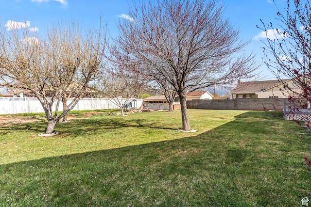 view of yard with a fenced backyard