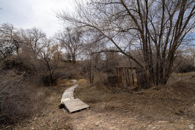 1674 E 1700 S, Naples, UT 84078 - view of yard