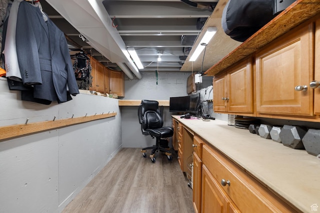 1674 E 1700 S, Naples, UT 84078 - home office featuring light wood-style flooring and baseboards