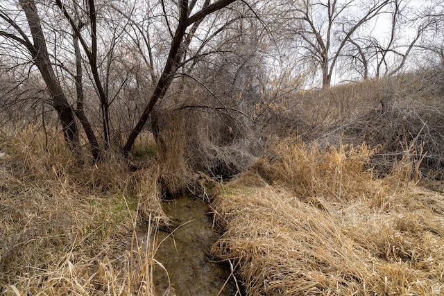 1674 E 1700 S, Naples, UT 84078 - view of landscape