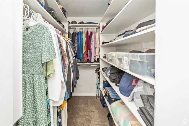 walk in closet featuring carpet