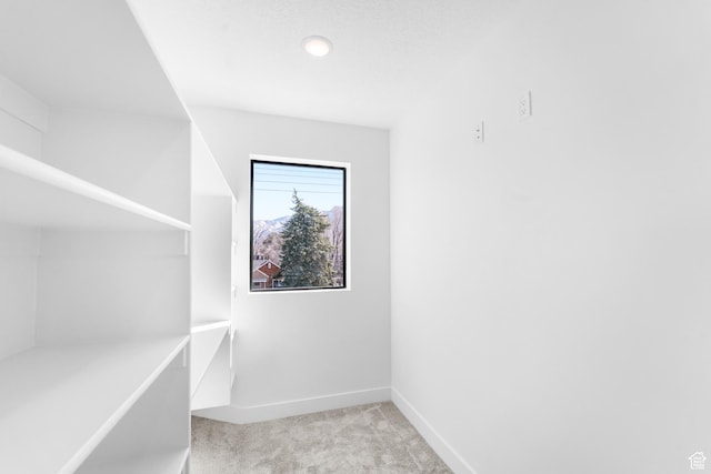 4372 S 900 E Unit 102, Millcreek, UT 84124 - walk in closet with carpet floors