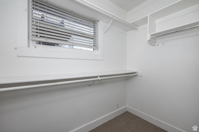 3752 S Mccall St E, South Salt Lake, UT 84115 - spacious closet featuring carpet floors