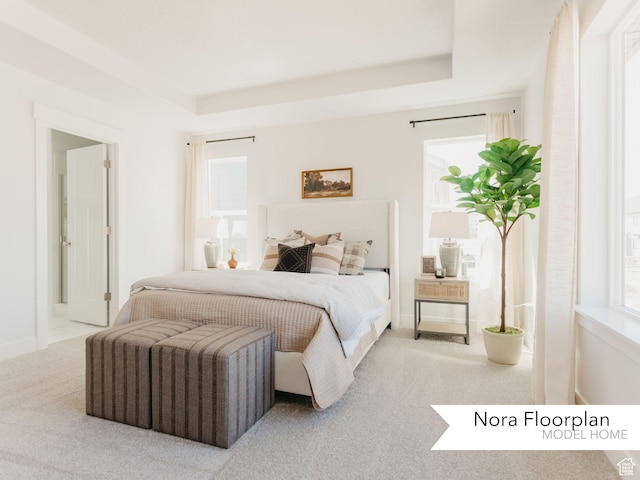 bedroom featuring carpet floors, baseboards, and a tray ceiling