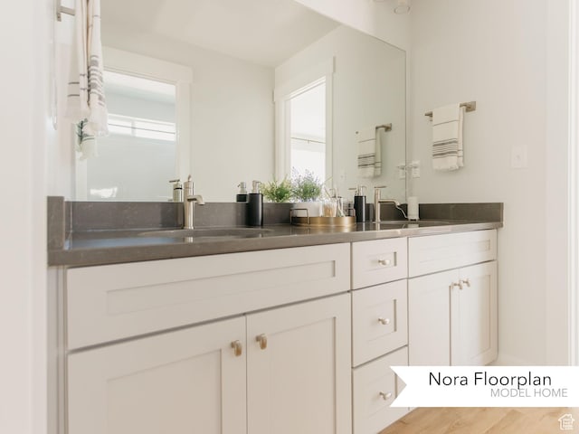 bathroom featuring a sink and double vanity