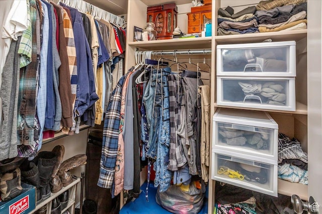 view of spacious closet