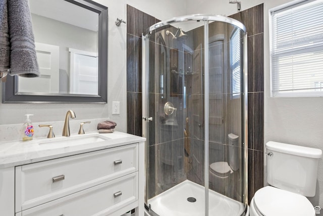 bathroom with a shower stall, vanity, and toilet
