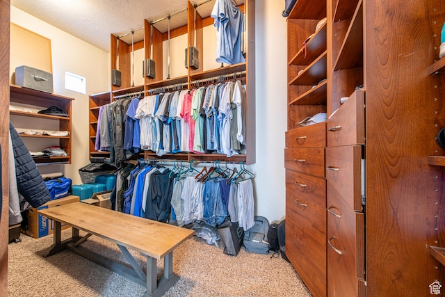 spacious closet with carpet flooring