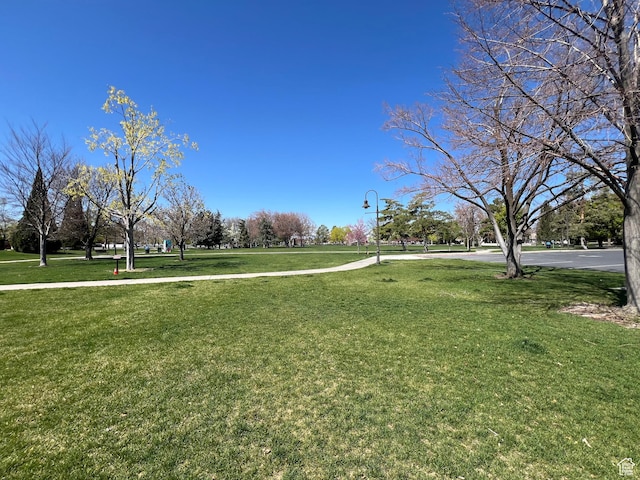 view of home's community with a lawn